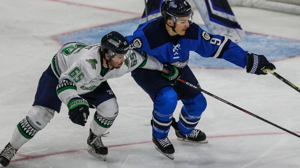 Florida Everblades center Hunter Garlent (65) and Jacksonville Icemen forward Alexis D'Aoust (9) vie for the puck during the first period of an ECHL professional hockey game at Veterans Memorial Arena in Jacksonville, Fla., Wednesday, Dec. 11, 2019. [Gary Lloyd McCullough/CSM] Photo via Newscom picture alliance