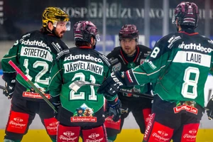 CJ Stretch, Ville Järveläinen und Lukas Laub spielen weiterhin für Rosenheim.
