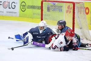 Der EHC Neuwied musste sich den Lüttich Bulldogs geschlagen geben.