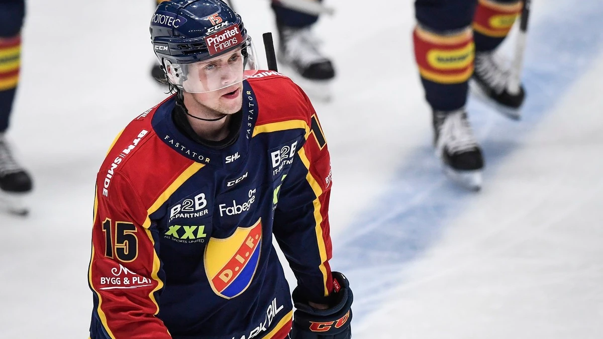STOCKHOLM 20201121 Djurg?rdens Dominik Bokk jublar efter att ha kvitterat till 2-2 under l?rdagens ishockeymatch i SHL mellan Djurg?rdens IF och V?xj? Lakers HC p? Hovet. Foto: Erik Simander / TT / kod 11720