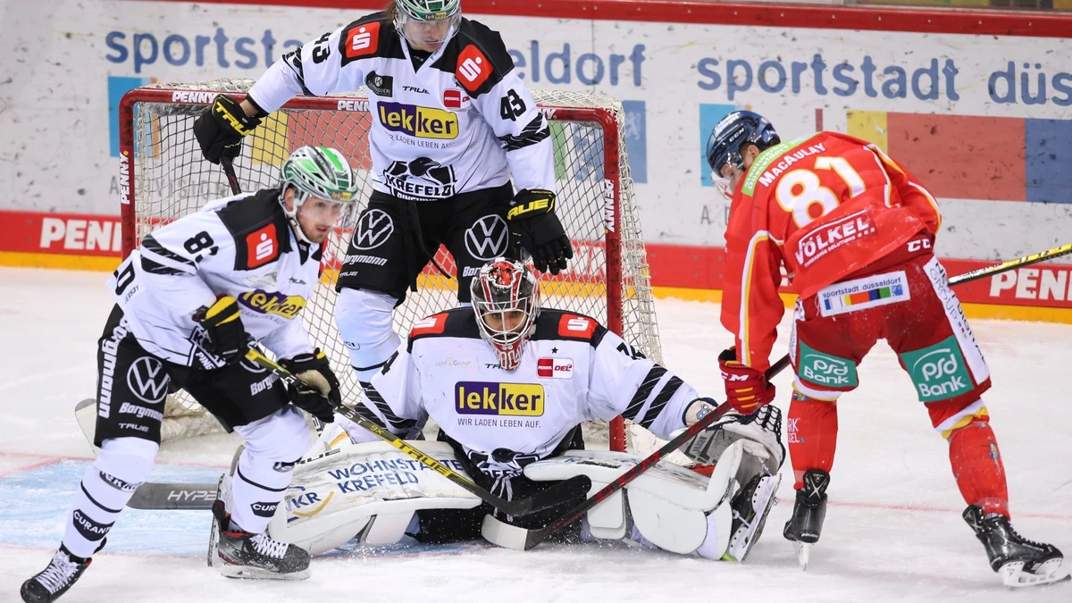 18.01.2022, Duesseldorf, Eishockey, Penny DEL, Spieltag 44, PSD Bank Dome, Duesseldorfer EG gegen Krefeld Pinguine. Philipp Mass (l-r), Alexander Weis und Torhueter Oleg Shilin von Krefeld Pinguine verteidigen das Tor gegen Stephen MacAulay von Duesseldorfer EG.