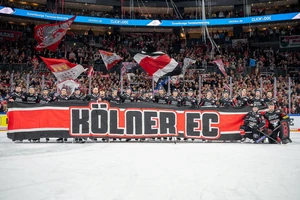 Die Kölner Haie haben einen Schnitt von beinahe 18.000 Fans pro Spiel. Die Auslastung der Arena liegt damit bei fast 96 Prozent.