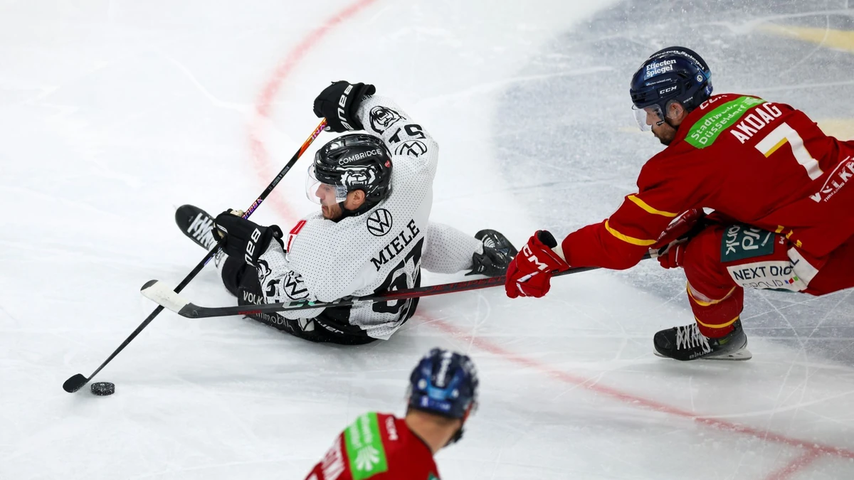 Die Grizzlys Wolfsburg sind nach der Niederlage in Düsseldorf sportlich auf dem Boden, werden aber die DEL nicht verlassen.