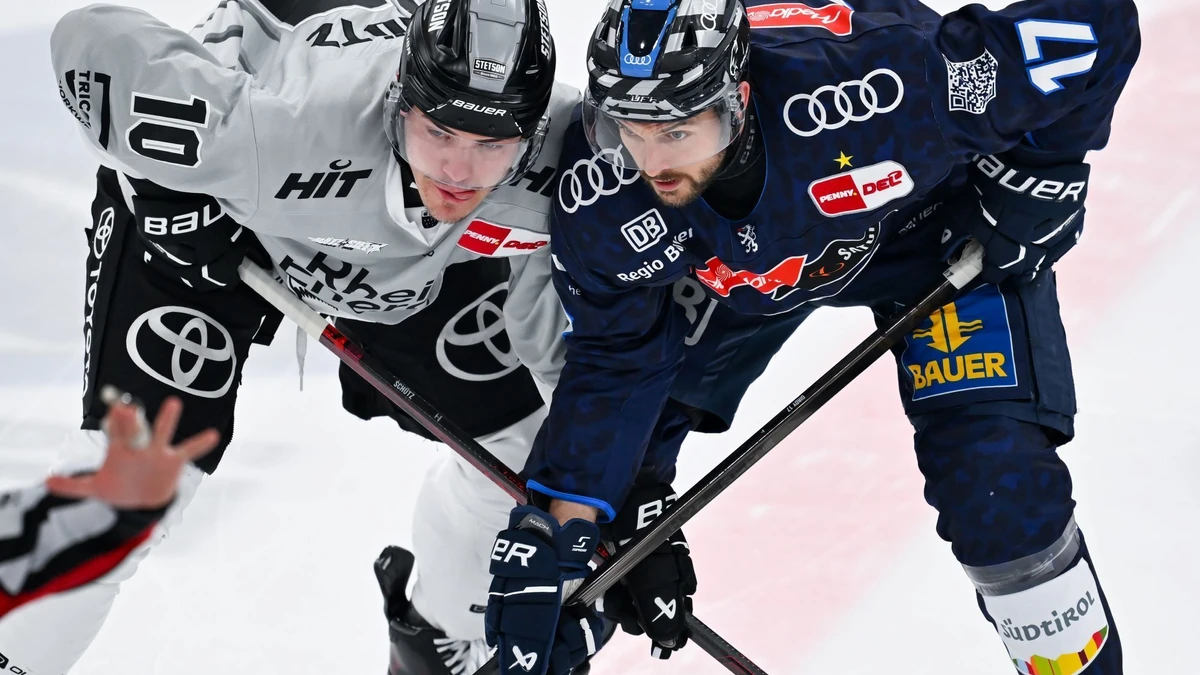 Die Haie schlagen gegen die Panther zurück und gleichen die Serie aus.