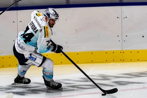 Tomas Sykora traf zweimal für die Dresdner Eislöwen.