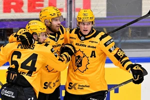 Jonathan Pudas, Oscar Lindberg und Rickard Hugg (von links) feiern einen Torerfolg für Skellefteå AIK.