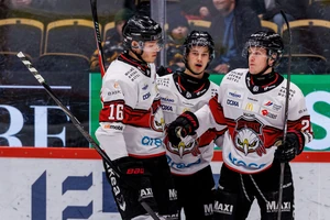 Der Deutsch-Schwede Maximilian Eisenmenger (links) spielt für die Malmö Redhawks.