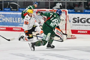 Die Augsburger Panther entwickeln diese Saison eine zuletzt ungewohnte Heimstärke.