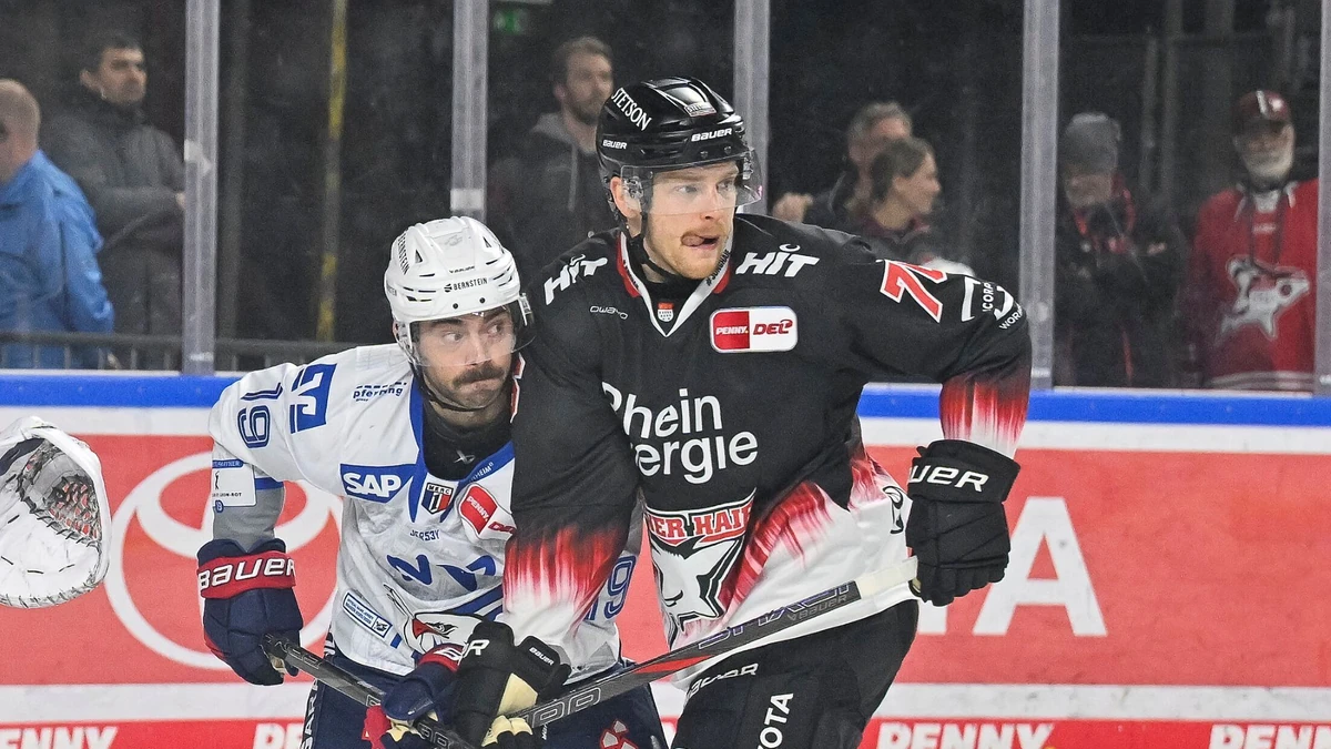 Nate Schnarr von den Kölner Haien läuft beim Spengler-Cup für Kanada auf.