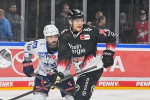 Nate Schnarr von den Kölner Haien läuft beim Spengler-Cup für Kanada auf.