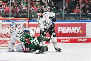 Die Kölner Haie ziehen an der Spitze einsam ihre Kreise. 