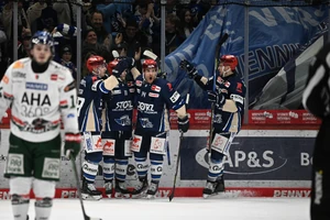 Die Schwenninger Wild Wings feiern den Einzug in die Play-offs.