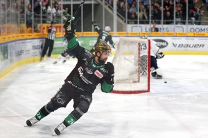 Den Bietigheim Steelers gelang der Serienausgleich gegen die Kassel Huskies.