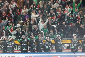 Die Fans der Bietigheim Steelers müssen von gleich 14 Spielern Abschied nehmen.