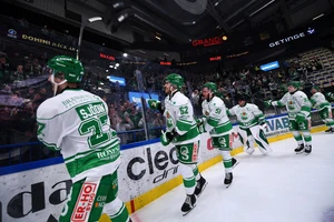 Die Spieler von Rögle BK feiern mit den Fans den Einzug ins SHL-Play-off-Finale.