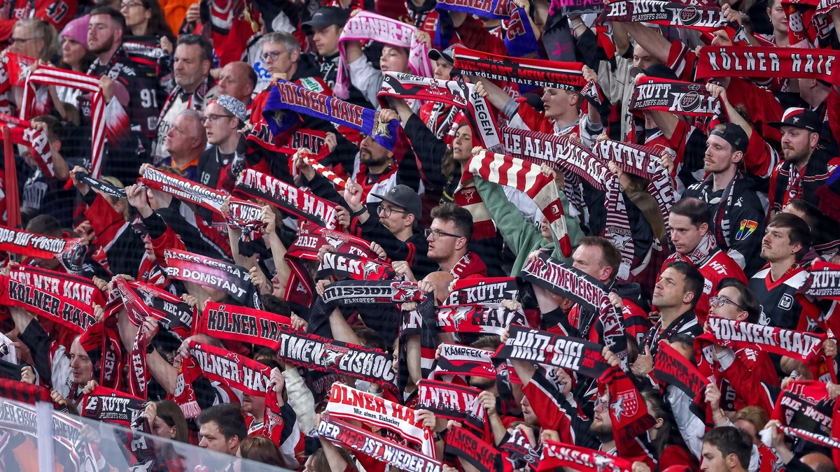Die Fans der Kölner Haie wehren sich gegen das CHL-Heimspiel in Krefeld.