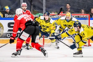 Schwedens Torhüter Magnus Hellberg ließ keinen Gegentreffer zu.