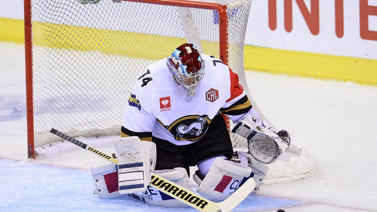 Eishockey Champions Hockey League Krefeld Pinguine - Kärpät Oulu am 20.08.2015 im KönigPalast in Krefeld Sami Aittokallio ( Oulu ) Foto: Revierfoto