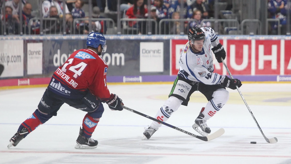 Max Renner (Straubing) im Zweikampf mit Garrett Festerling (Adler Mannheim) beim Spiel Adler Mannheim gegen die Straubing Tigers am 24.11.2017 in der DEL, Foto: Michael Bermel/Eibner-Pressefoto | Verwendung weltweit