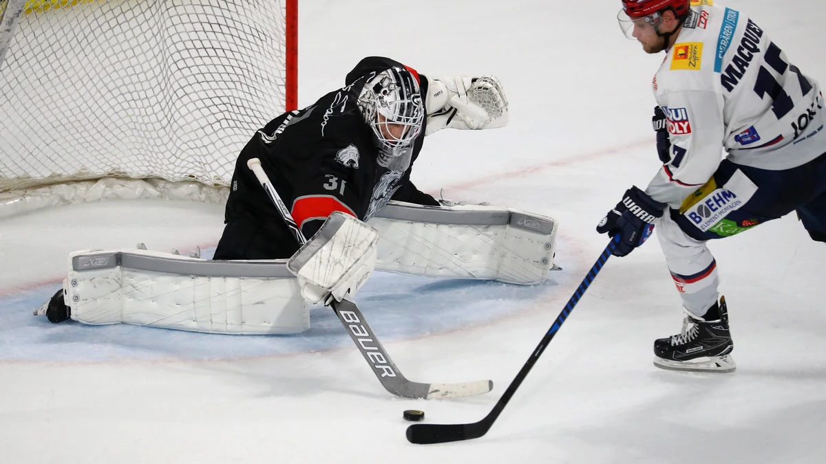 Nürnbergs Klasse-Keeper Niklas Treutle will den Eisbären das Leben schwer machen.