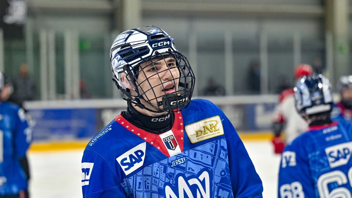 Tobias Krämer wechselt von den Adlern Mannheim zu den Niagara IceDogs.