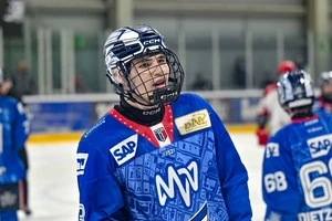 Tobias Krämer wechselt von den Adlern Mannheim zu den Niagara IceDogs.