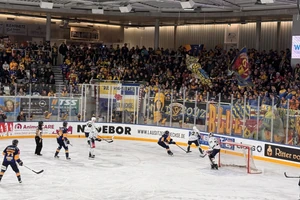 Die Lausitzer Füchse setzten sich daheim in Weißwasser klar gegen die Blue Devils Weiden durch.