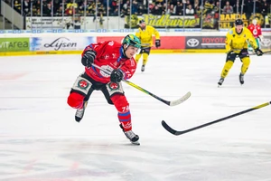 Ludwig Nirschl wechselt aus Bad Tölz zum ECDC Memmingen.