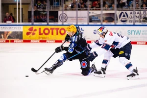 Die Fischtown Pinguins Bremerhaven haben die Donnerstagspartie mit 4:1 gegen den EHC Red Bull München gewonnen.