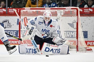 Torhüter Maximilian Franzreb im Trikot der Adler Mannheim.