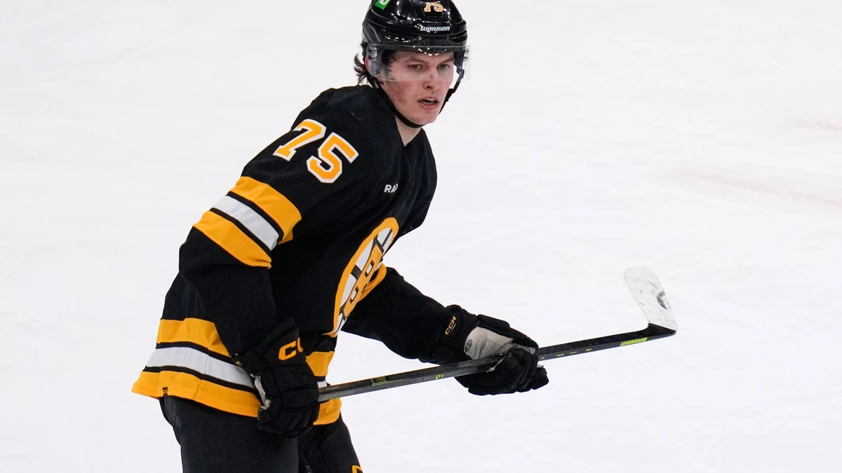 Lukas Reichel im Trikot der Boston Bruins.