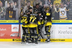 Die Krefeld Pinguine bejubeln einen Treffer. 