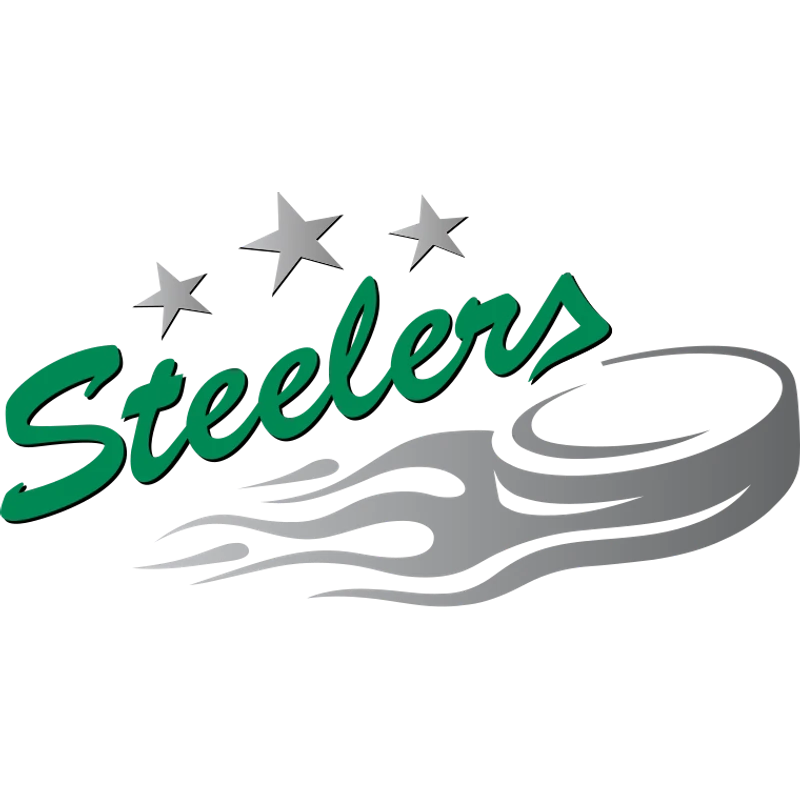 Bietigheim Steelers Logo