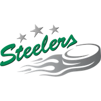 Bietigheim Steelers Logo