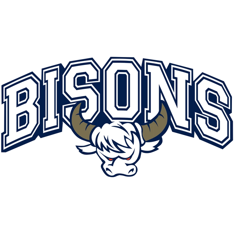 1. CfR Pforzheim Bisons Logo