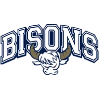 1. CfR Pforzheim Bisons Logo