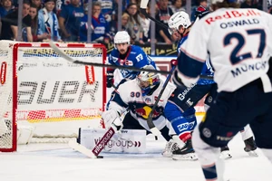 Die Adler Mannheim stehen vor dem Final-Einzug.