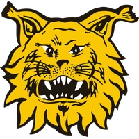 Tampere Ilves Logo