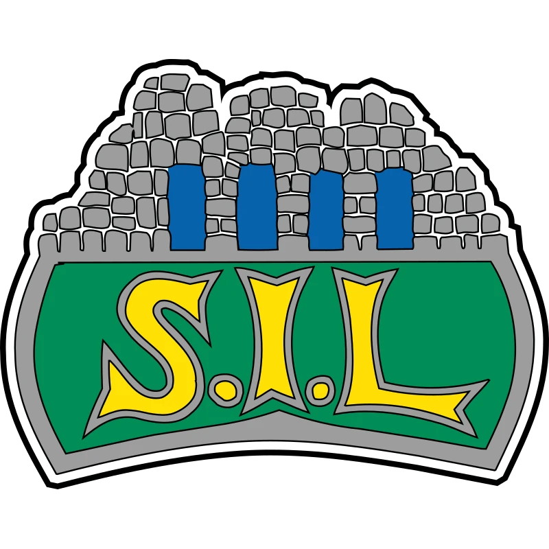 Storhamar Dragons Logo
