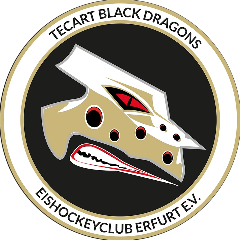 TecArt Black Dragons Erfurt Logo
