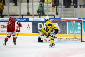 v.l.: Muehlbauer, Lemay, Paetzold, Demmler