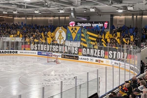 Die Fans der Lausitzer Füchse begrüßten ihr Team mit einer großen Choreo.